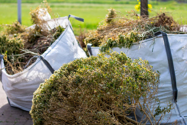 Best Same-Day Junk Removal Services  in Northampton, MA
